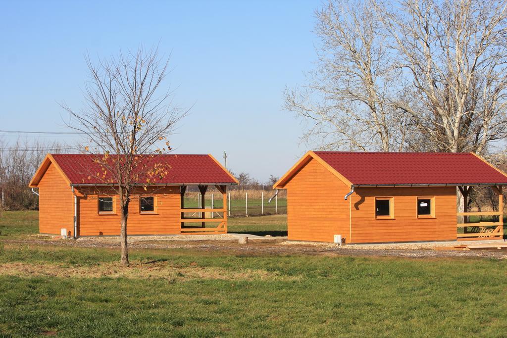 Pusztaeldorado Tiszagyenda Extérieur photo