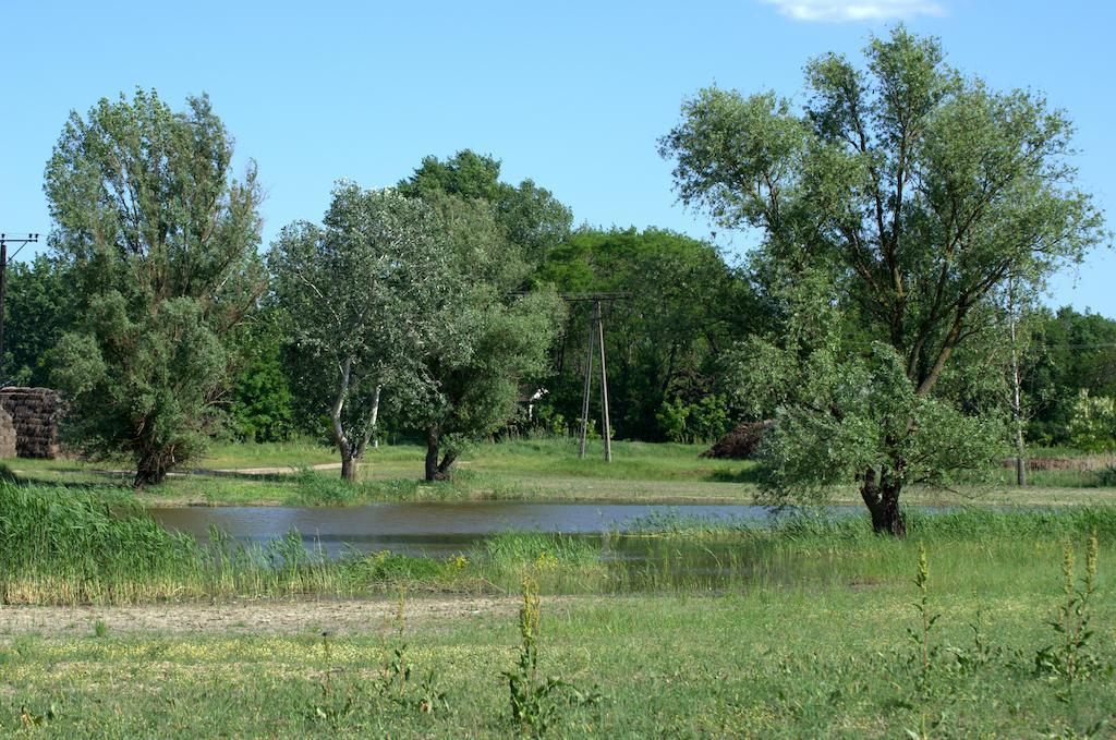 Pusztaeldorado Tiszagyenda Extérieur photo